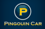 PINGOUIN CAR